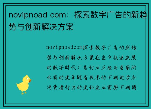 novipnoad com：探索数字广告的新趋势与创新解决方案